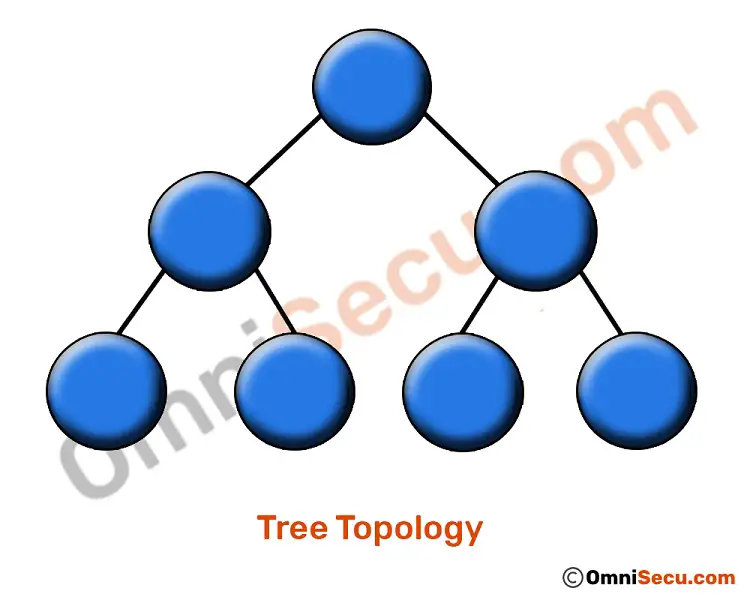 tree-topology-layout.jpg