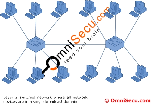 Single Broadcast Domain LAN
