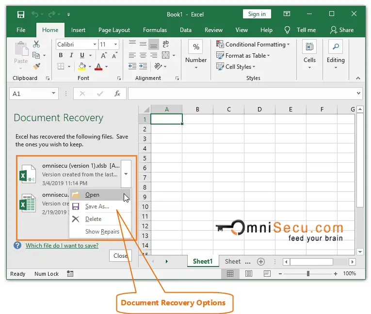 Excel Document Recovery Options