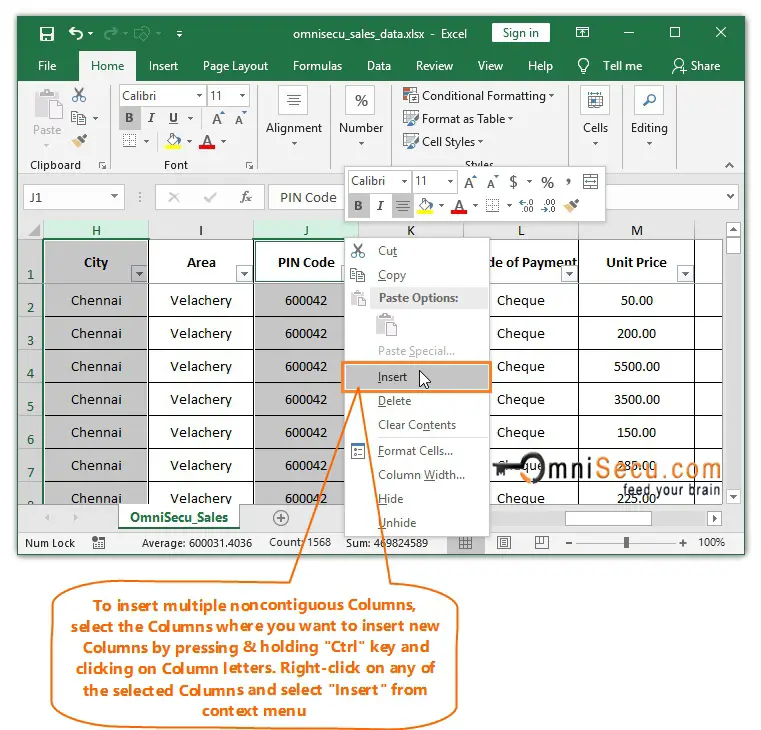 How Will You Insert Multiple Columns In A Worksheet