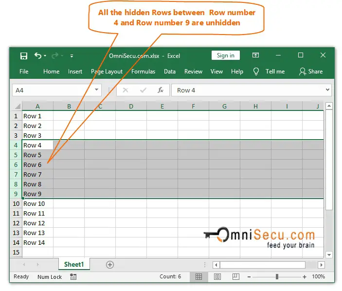 Unhidden Rows Excel worksheet