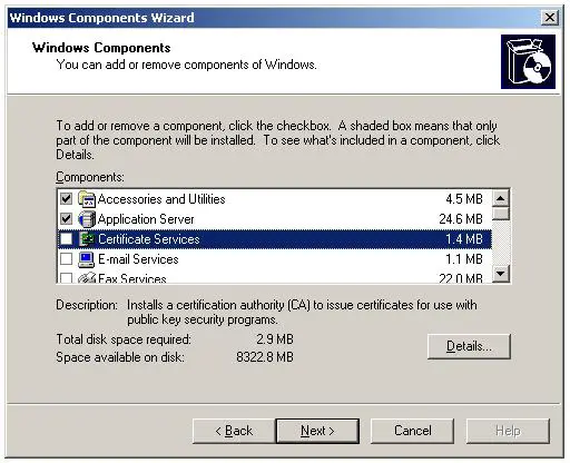 Installing Enterprise Subordinate Certificate Authority - Add Remove Windows Components