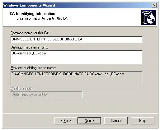 Installing Enterprise Subordinate Certificate Authority - Common Name