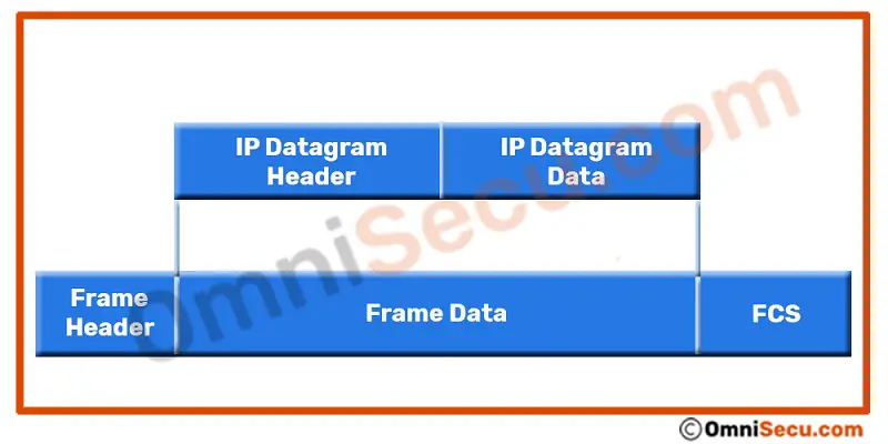 IP Datagram encapsulation within an Ethernet frame