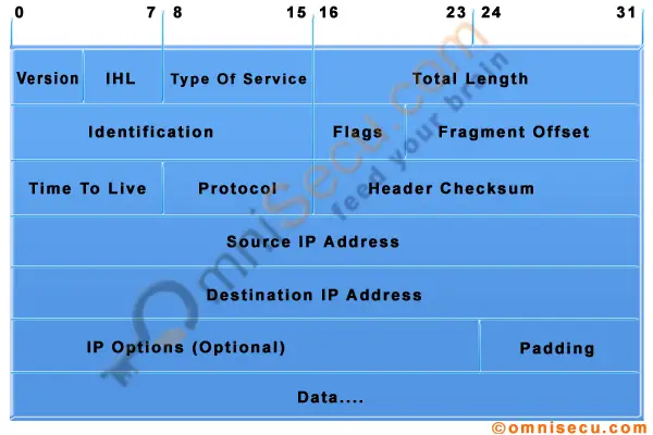 IPv4 Datagram Header Structure