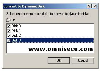 Convert to Dynamic Select Disks