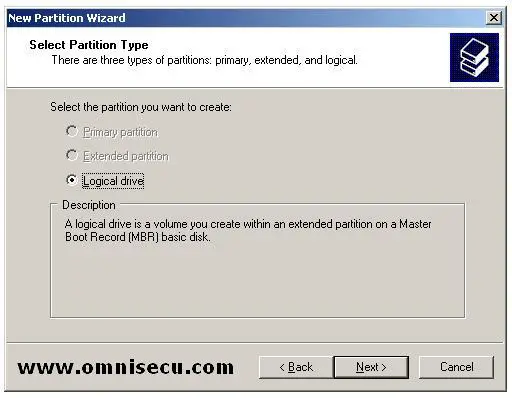 Logical Drive new partition wizard select partition type