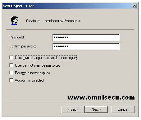 Active Directory Users and Computers new Object User dialog password
