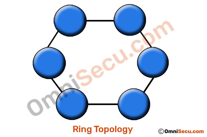 The network topology of SGIN