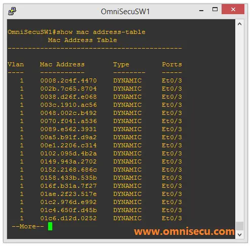 MAC Address Table after attack