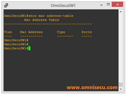 MAC address table before attack