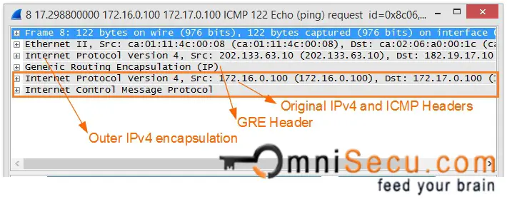 GRE Encapsulation Packet Capture 2