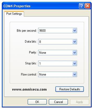 HyperTerminal port properties