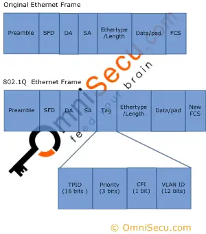 IEEE  802.1Q frame