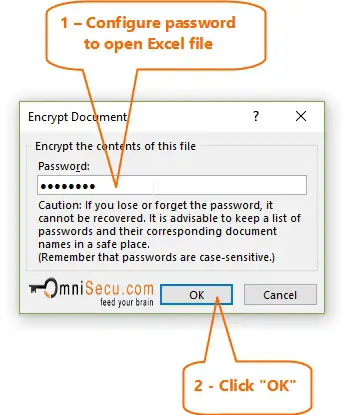 Enter the password for Excel file to Open