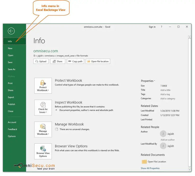 Excel Ribbon Backstage View Info Menu