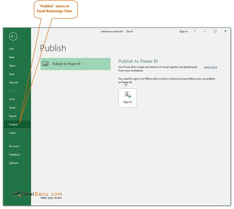 Excel Ribbon Backstage View Publish Menu