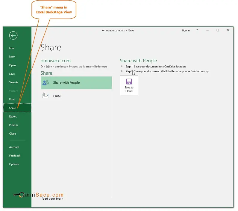 Excel Ribbon Backstage View Share Menu