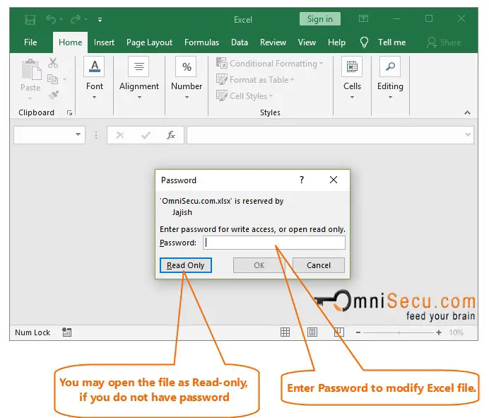 Excel file password to Modify