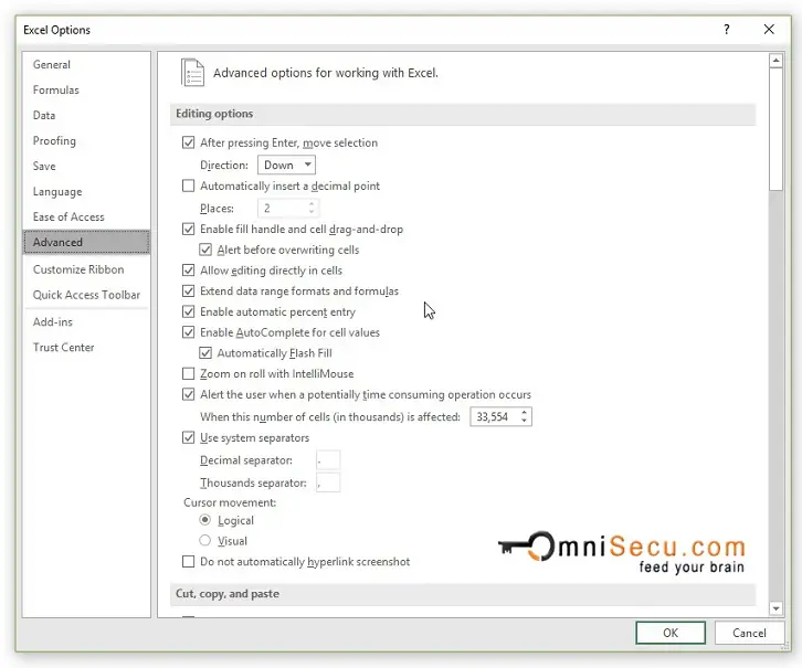Excel Options Dialog Box Window - Advanced
