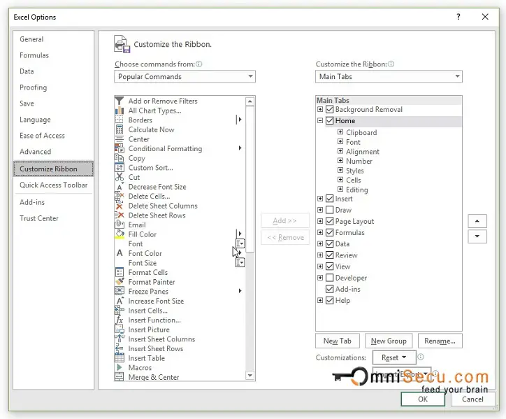 Excel Options Dialog Box Window - Customize Ribbon