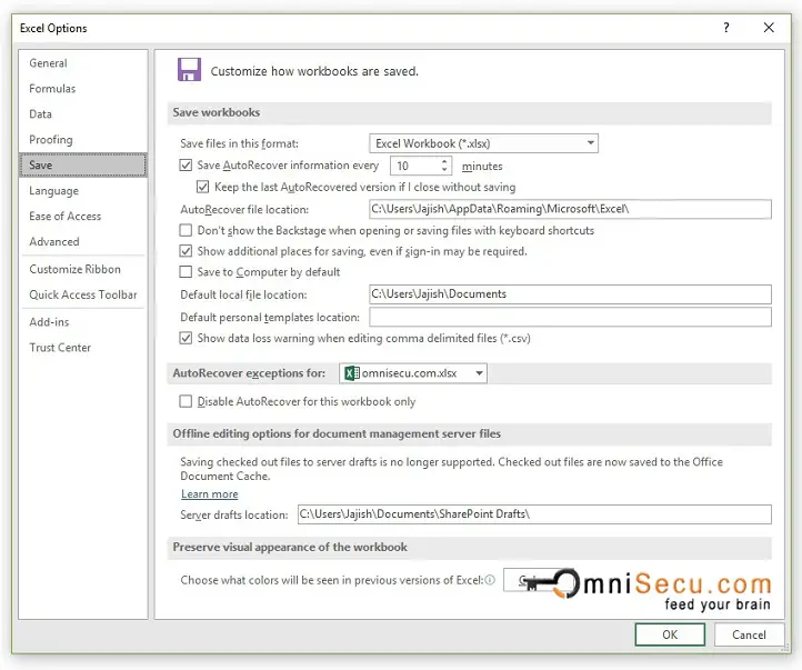 Excel Options Dialog Box Window - Save