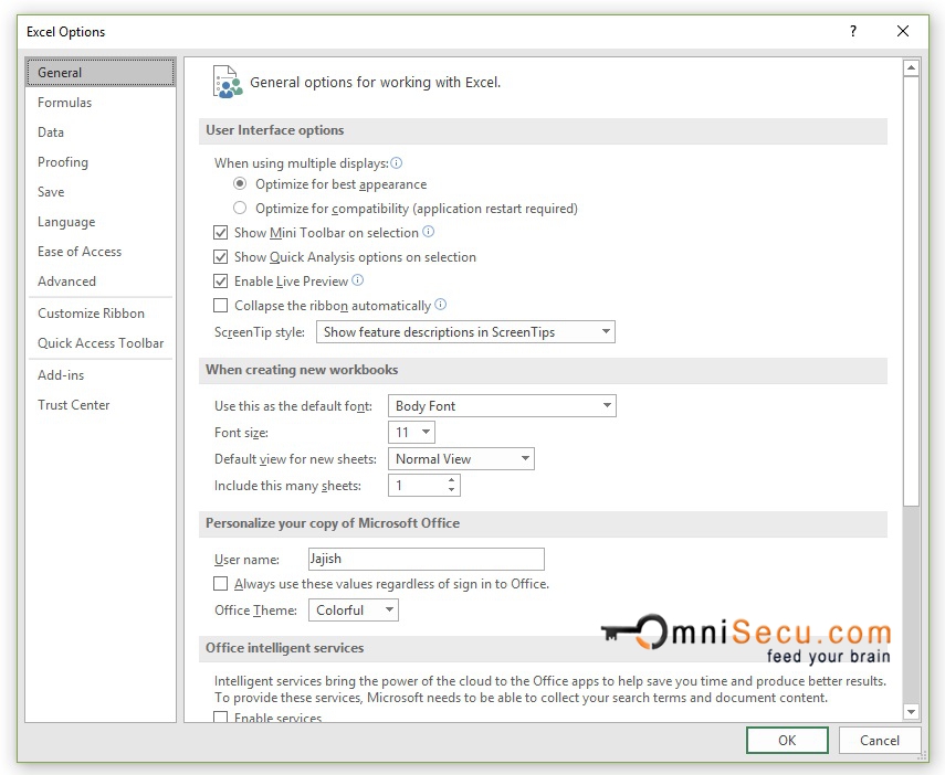 Excel Options Dialog Box Window