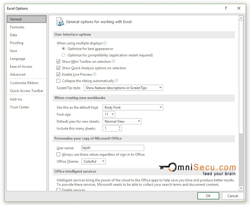 Excel Options Dialog Box Window