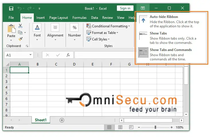 Excel Ribbon Options