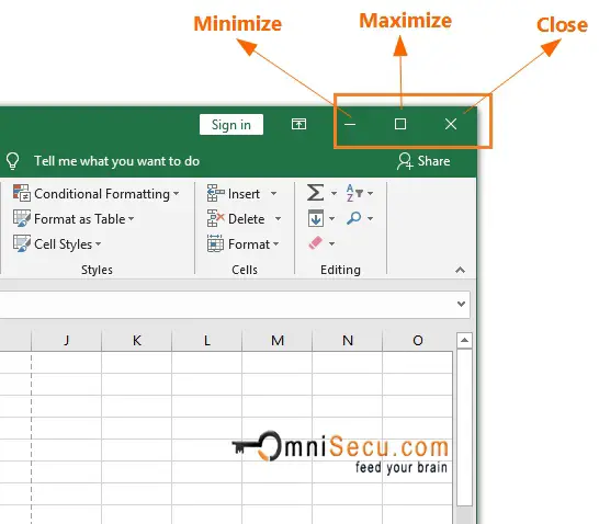 Excel Window Controls Maximize