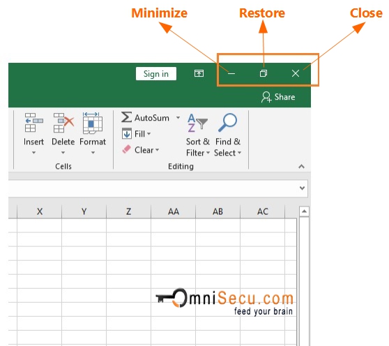 Excel window controls restore