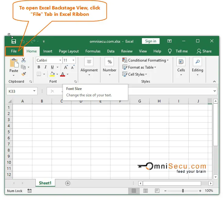 how to change the backstage title for excel on mac