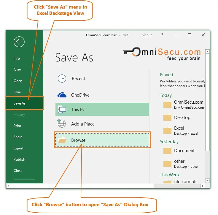 Open Excel Save As Dialog box