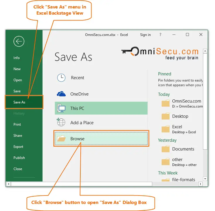 Open Excel Save As Dialog box