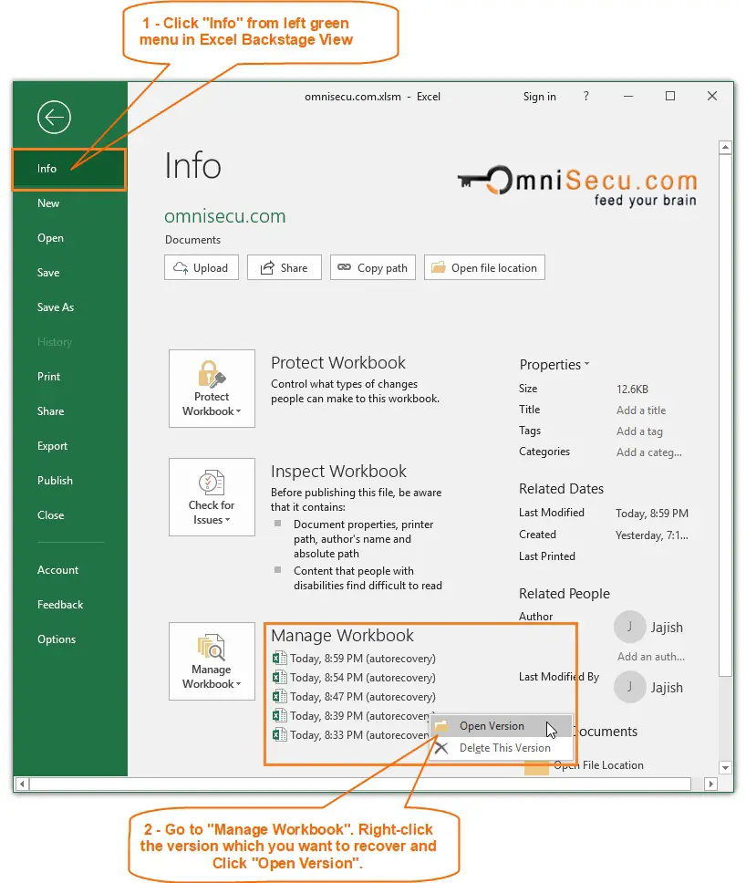 Retrieve previous version of Excel Workbook file