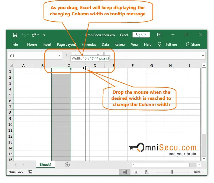 Column letter gridline is clicked to change the width