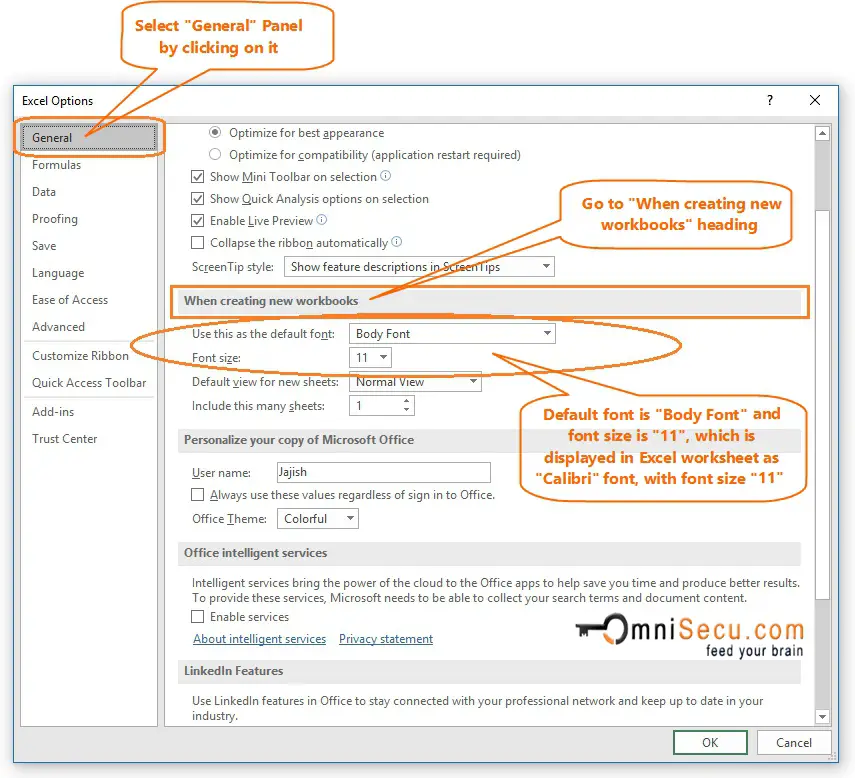 Default font and size in Excel options dialog box