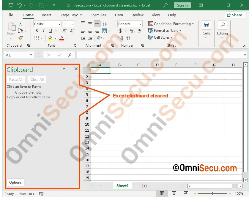 excel clipboard cleared