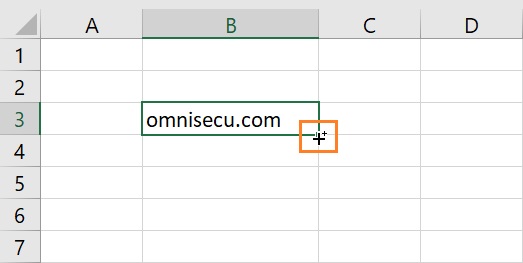 Excel extend or fill data mouse pointer shape