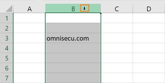 Excel select entire column mouse pointer