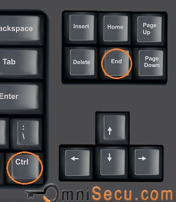 Ctrl + End Keys