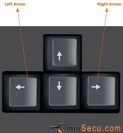 Excel Worksheet navigation keys Left arrow and Right arrow