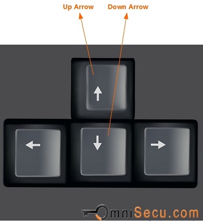 Excel Worksheet navigation keys up arrow and down arrow