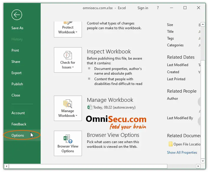 how-to-change-excel-date-system-02.jpg