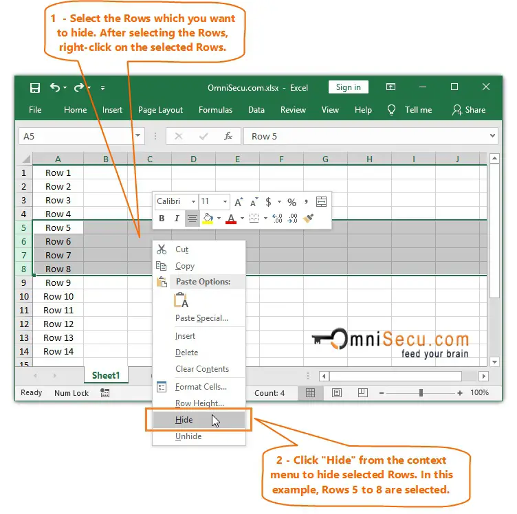 How to hide Excel worksheet rows