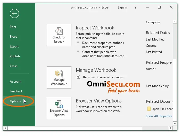 open-excel-options.jpg