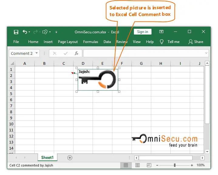  Picture inserted in Excel Cell Comment box 