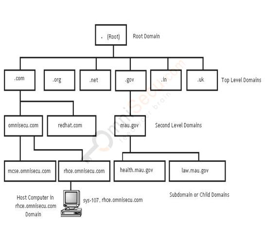 Domain Name System (DNS) structure