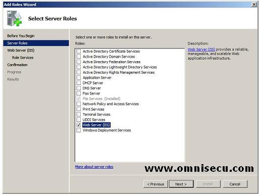 Add roles wizard web server