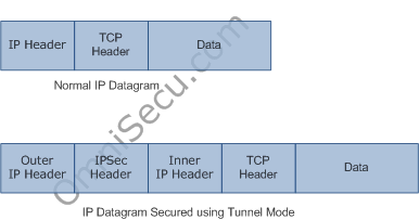 Tunnel Mode IP Datagram